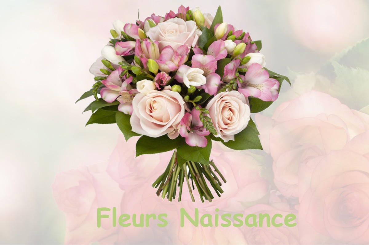 fleurs naissance SAINTE-MARIE-DE-CUINES