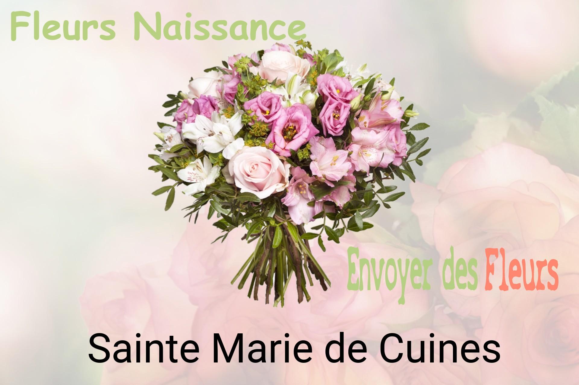 Bouquet de fleurs de naissance livré à Sainte-Marie-de-Cuines